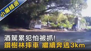 酒駕累犯怕被抓! 鑽樹林摔車 繼續奔逃3km｜TVBS新聞 @TVBSNEWS02