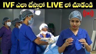 IVF  ఎలా చేస్తారో LIVE లో చూడండి | IVF Step By Step Procedure | Dr. Jyothi, Fertility Expert | HQ