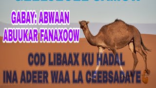 ABWAAN ABUUKAR FANAXOOW CUMAR IYO CALOOFI AAWAY CAASHAWEER CIDLEYDAGTAAHE