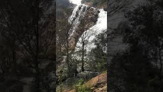 Megam falls  Vellimalai #shorts #kalvarayan_hills #tour #food #fish