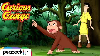 Catch That Monkey! | CURIOUS GEORGE