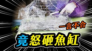 火爆場面，居然在上班時間砸破魚缸......#Shorts