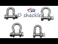 forged steel D shackle and bow shackle