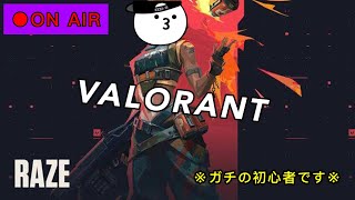 【VALO】ソロラン！！＿初見さん大歓迎