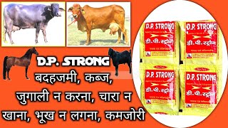 D.P. STRONG // बदहजमी, जुगाली न करना, चारा न खाना, भूख न लगना, कब्ज, कमज़ोरी को करें जड़ से खत्म।