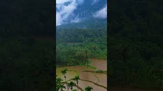 ಮಲೆನಾಡಿನ ಸುಂದರ ಪ್ರಕೃತಿ🏞️🌳