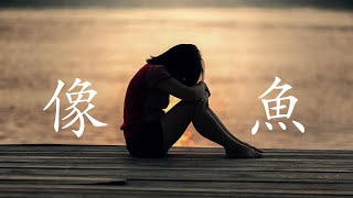 像鱼 王贰浪 【多么可笑的心事只剩我还在坚持】【CGM】【動態歌詞 lyrics】