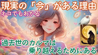 過去世のカルマは乗り越えるためにある☆ネコでもわかる現実の「今」がある理由