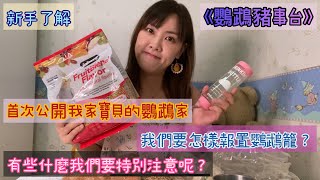 《鸚鵡豬事台》新手必看！！首次公開我家鸚鵡屋企丨我們要怎樣佈置鸚鵡籠丨應該要注意些什麼?金太陽鸚鵡丨雞尾鸚鵡丨凱克鸚鵡