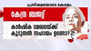 വിലക്കയറ്റം നിയന്ത്രിക്കാൻ നടപടിയുണ്ടവുമോ? കേന്ദ്രബജറ്റ് ഇന്ന്; പ്രതീക്ഷയോടെ കേരളം