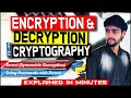Data Encryption & Decryption | Cryptography Python | Password with Fernet | Explained in Minutes
