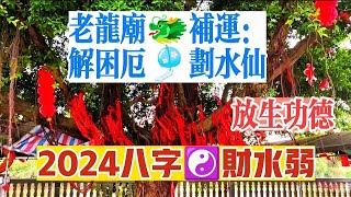 2024補運☯️水邊解困厄划水仙，放生做功德