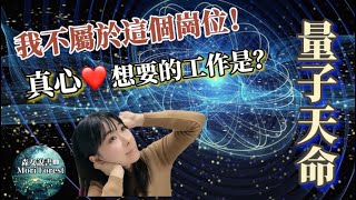 職業倦怠如何找人生方向？量子天命天賦開花圖解密｜森女說書