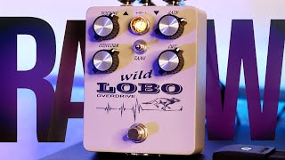 AS Pedals WILD LOBO Demo // Raw Vintage Overdrive Goodness