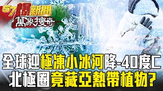 全球迎「極凍小冰河」瞬降 40度C！一萬年前北極圈竟藏「亞熱帶植物」？！【57爆新聞 萬象搜奇】  @57BreakingNews