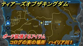 ゼルダの伝説ティアーズオブザキングダム　コログの実の場所　ハイリア川１　ポーチ拡張するアイテム　＃６０３　【ティアキン】