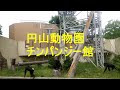 楽しい動物たち　円山動物園チンパンジー、ゾウ、カバ、カンガルー