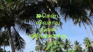 30 சென்ட் விவசாய நிலம் விற்பனைக்கு