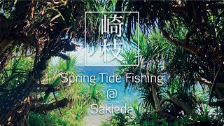 【石垣島Vlog】Spring Tide Fishing @ Sakieda