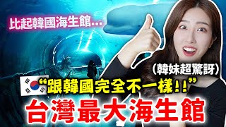 韓國VS台灣屏東海生館！韓國人看全台最大海生館後嚇到的原因？| 有璟嘿喲  | 韓國人住在台灣