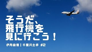 千里川土手に飛行機を見に行ってみた（２）