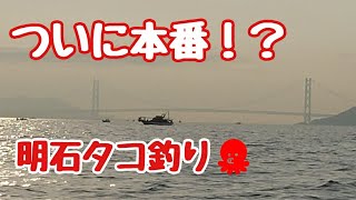 『明石タコ釣り　7月1週目　いよいよ来たか！？シーズンイン！！』待ちに待ったシーズンインの兆！？先週とは大きく変わったヒットパターンを解説　リアルタイム情報をお見逃しなく！！