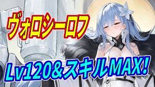 【アズレン】 ヴォロシーロフ実力チェック！ スキル＆弾幕チェック！ 【アズールレーン】 【Azur Lane】 【碧藍航線】