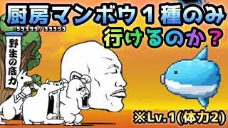 日本編１章西表島 vs Lv.1(体力2)厨房マンボウ  やっぱ無理だよねw  にゃんこ大戦争