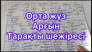 ОРТА ЖҮЗ АРҒЫН РУЫ ШЕЖІРЕСІ✅ТОЛЫҚ ШЕЖІРЕ 6-бөлім‼️