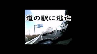 高級車がイキって危険運転、余裕のポーズでカッコつけたところ…　#shorts