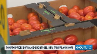 Rising tomato costs hit grocery stores, restaurants across the country