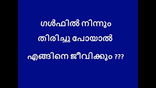 ഗൾഫിൽ നിന്നും തിരിച്ചു പോയാൽ എങ്ങിനെ ജീവിക്കും ???