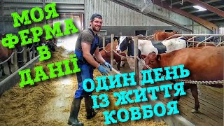 МІЙ РОБОЧИЙ ДЕНЬ НА ФЕРМІ В ДАНІЇ.