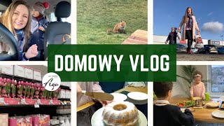 DOMOWY VLOG | WALENTYNKOWY HAUL | BABKA MARMURKOWA | ZAKUPY W ALDI | PYSZNY OBIAD| GET IT ALL DONE