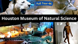 Houston Museum of Natural Science | Dinosaur Exhibit | HMNS | Full Tour | 4K