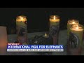 Animal rights advocates honor elephants all over the world that died in captivity