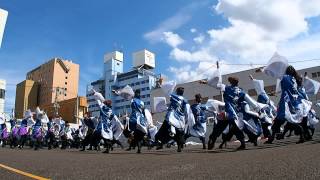 2014ヤートセ秋田祭 前祭　秋田大学　よさこいサークル　よさとせ歌舞輝