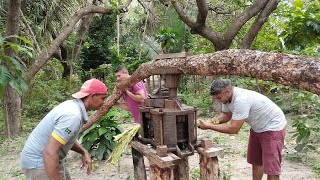 MOSTRAMOS A HORTA E MOEMOS  CANINHA DA ROÇA NO ENGENHO ANTIGO