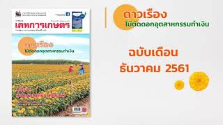 เคหการเกษตรฉบับ ธันวาคม 2561