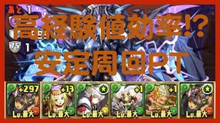 パズドラ ゼローグ∞降臨！ 覚醒バステトPT 安定周回