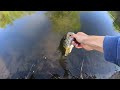 river fishing with the megabass sleeper craw