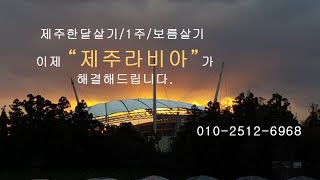 제주 한달살기 숙소 /제주도 보름살기 / 제주라비아펜션