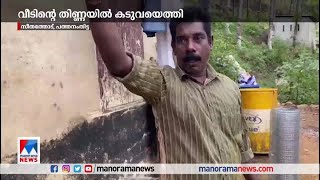 വീടിന്‍റെ തിണ്ണയില്‍ കടുവയെത്തി; ഭീതിയില്‍ കുടുംബം | Pathanamthitta | Tiger