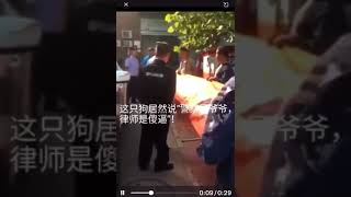 明明是赵家狗，真拿自己当赵家人了，帮他曝光一下