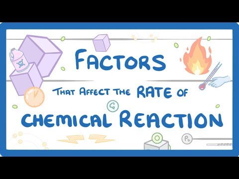 What are the factors that affect the chemical reaction?