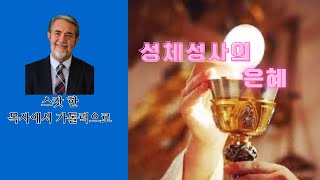 성체성사(성찬례)의 은혜 : 개신교 목사에서 가톨릭 교회로, 스캇 한