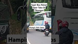 Sopir bus nekat oper take hampir asu jotos #shorts