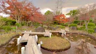 日本庭園　紅葉　大仙公園　堺市