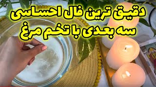 مرجان هوروسکوپ - دقیق ترین فال احساسی سه بعدی رومی با تخم مرغ