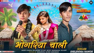 ✔️full Aadivasi song(भोगारिय चाली )Bhagoriya chalu 🎤 Singer Shelendra Nawde Mansaram Solanki